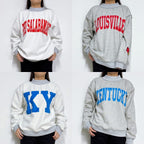 Reversible Varsity Mock Neck Sweater